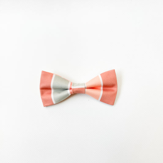 Pastel Stripes