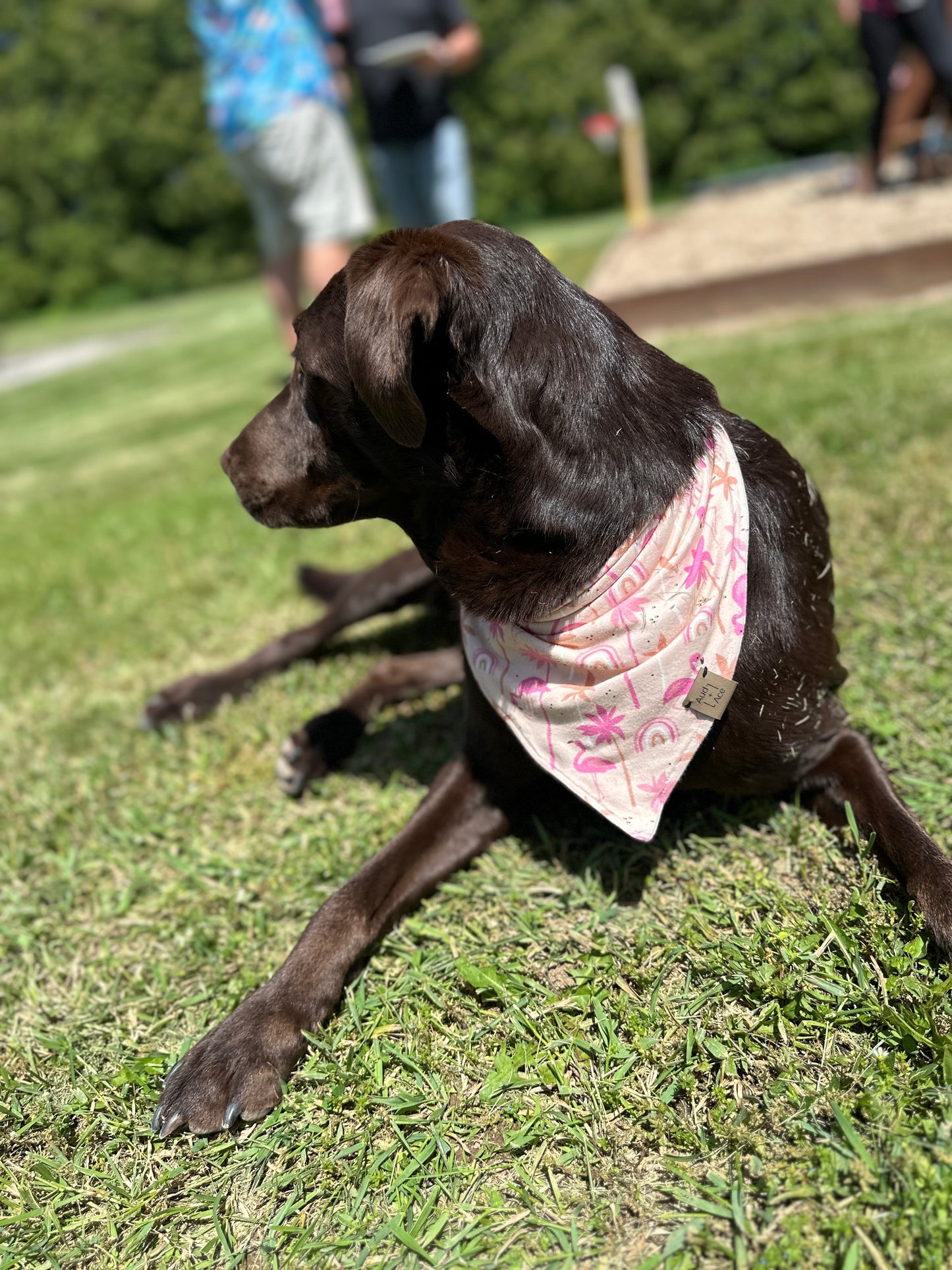 Flamingos + Palms Dog Bandana – Let’s Flockin’ Party and Flamingle!
