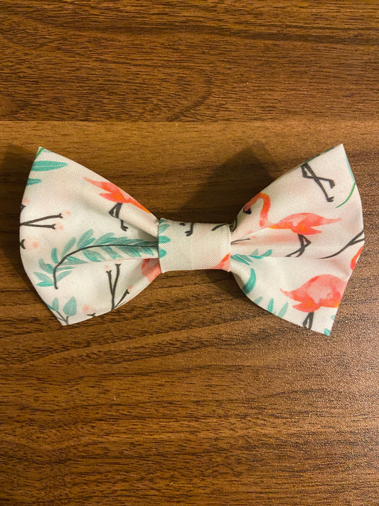 Flamingos!